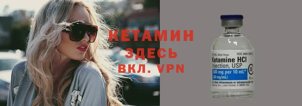 шишки Аркадак