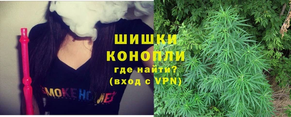 эйфоретик Арсеньев